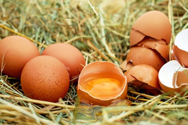 Raw eggs vs cooked eggs