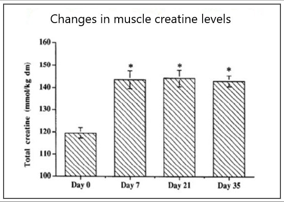 Muscle Building Benefits Of Creatine