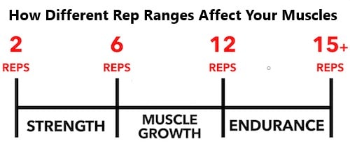 High reps vs low reps: A research based analysis