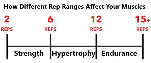 Rep range for Hypertrophy, Strength, & Endurance