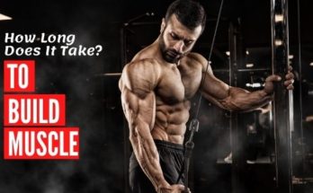 How Long Does It Take To Build Muscle