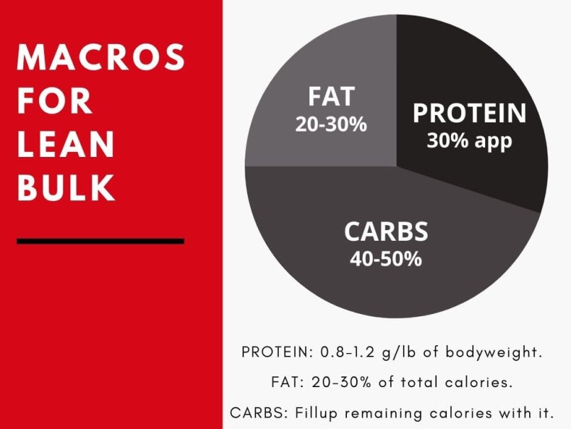 calories distribution to gain lean muscle