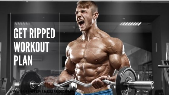 Workout plan for lean ripped body