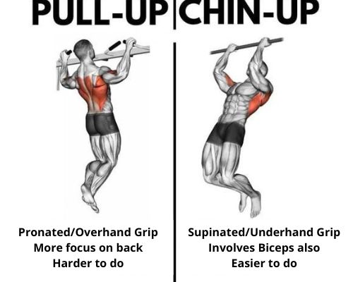 Pull-ups vs Chin-ups (Calisthenics back workout)