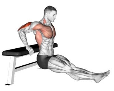 Dips for triceps