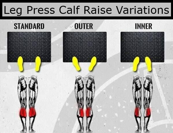 Leg Press Calf Raise Variations